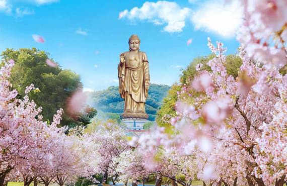 无锡灵山祈福一日游 · 本地佛学导游陪同 · 专车接送 · 灵山大佛/梵宫/五印坛城 · 深度禅意体验