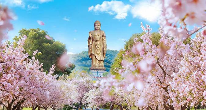 无锡灵山祈福一日游 · 本地佛学导游陪同 · 专车接送 · 灵山大佛/梵宫/五印坛城 · 深度禅意体验