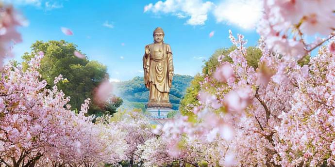 无锡灵山祈福一日游 · 本地佛学导游陪同 · 专车接送 · 灵山大佛/梵宫/五印坛城 · 深度禅意体验