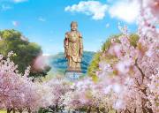 无锡灵山祈福一日游 · 本地佛学导游陪同 · 专车接送 · 灵山大佛/梵宫/五印坛城 · 深度禅意体验