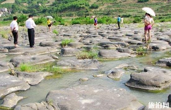 百色旅游攻略自由行