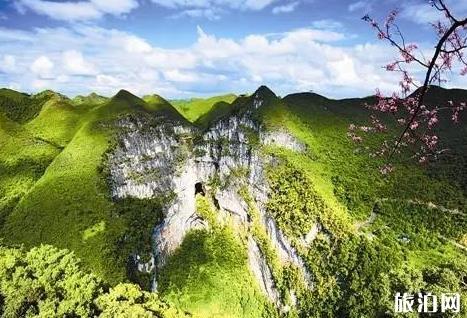 百色旅游攻略自由行