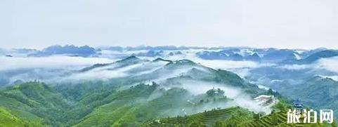百色旅游攻略自由行
