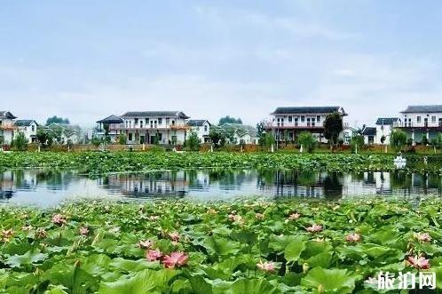 百色旅游攻略自由行