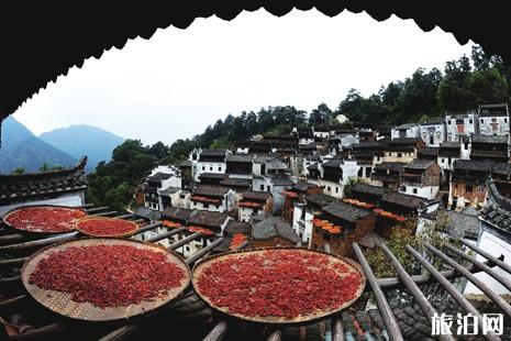 黔西南至西双版纳旅游攻略_行程_景点推荐
