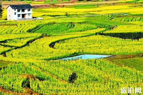 四川广安哪里可以赏花