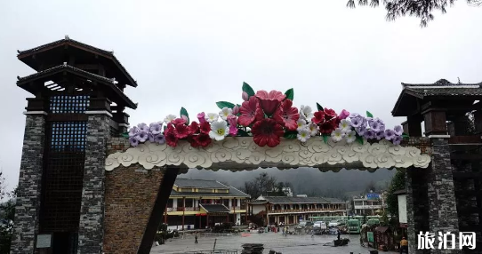 毕节2019年杜鹃花节时间+路线推荐+活动内容