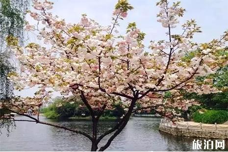 抚州赏花好去处 附抚州赏花地图