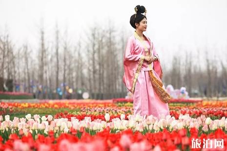 2019临沂赏花活动攻略