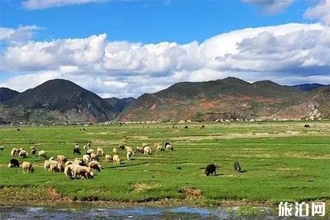 宜春至重庆旅游指南_宜春至重庆行程表_宜春至重庆推荐景点