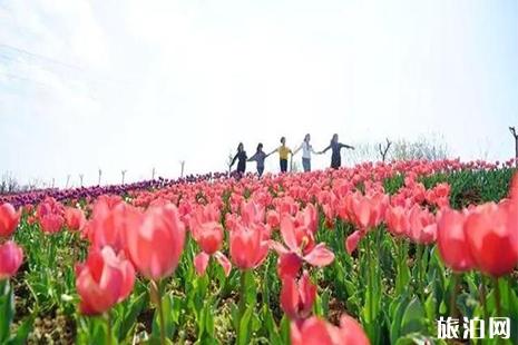 2019商洛景区优惠活动信息汇总（一整年都有效）