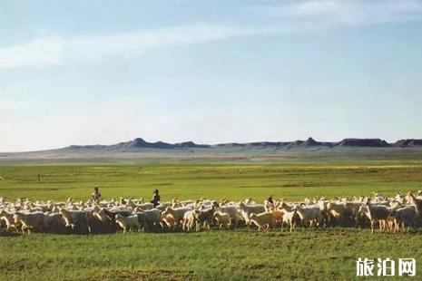 2019中国旅游日鄂尔多斯景区免费景点+活动