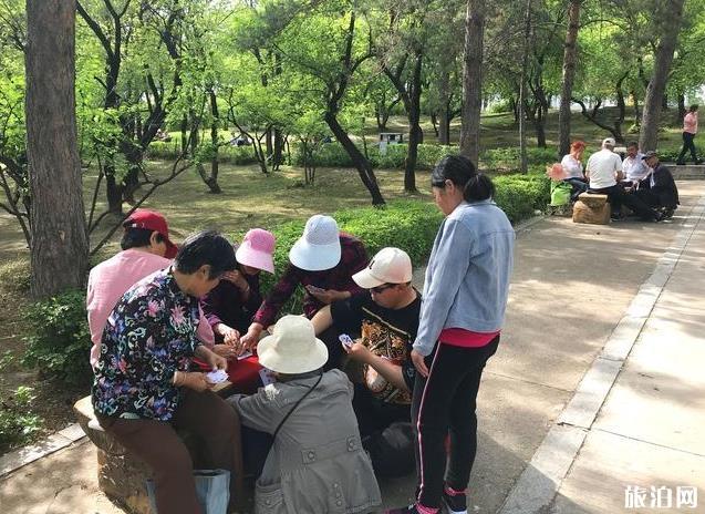 鹤岗儿童公园简介 鹤岗儿童公园现状