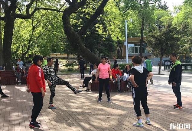 鹤岗儿童公园简介 鹤岗儿童公园现状