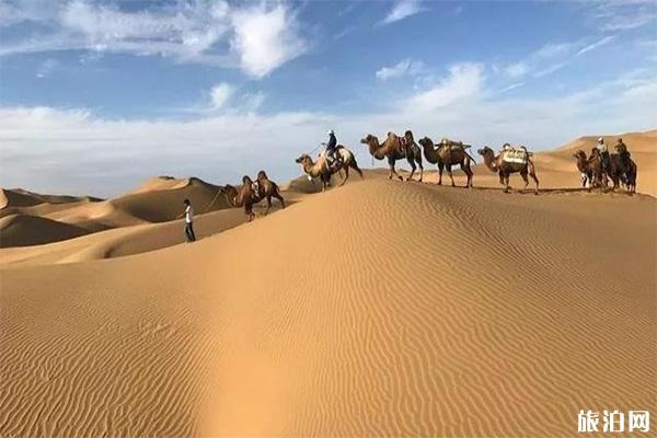 阿拉善右旗旅游景点有哪些