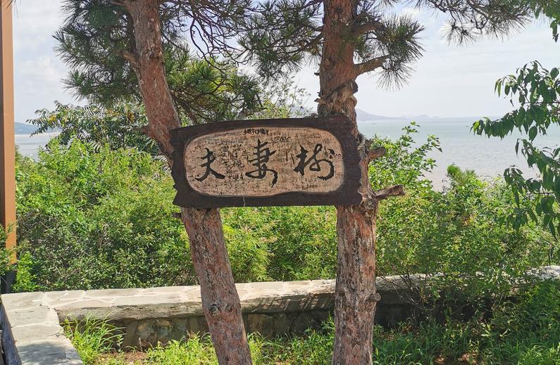 葫芦岛游记 葫芦岛游记作文600字