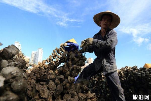 沧州哪里适合拍照_沧州哪里适合拍照_沧州哪里适合拍照