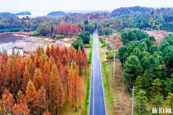 池州对淮北宣城景区免费信息 附免费开放周时间2019