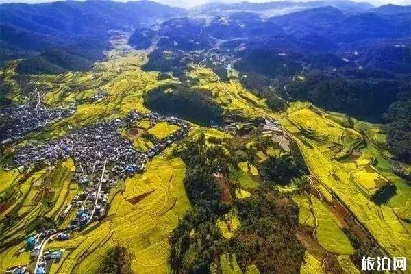 玉溪春节怎么游玩 玉溪游玩的地方有哪些