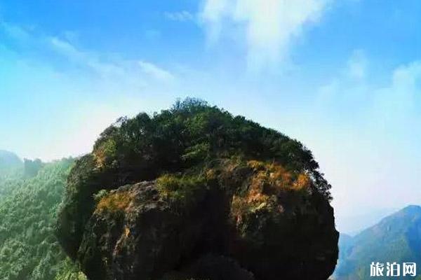 2020三明高速公路封闭最新消息和关闭景区