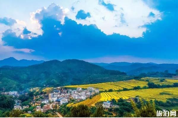 遵义至大理旅游指南_行程表_景点推荐
