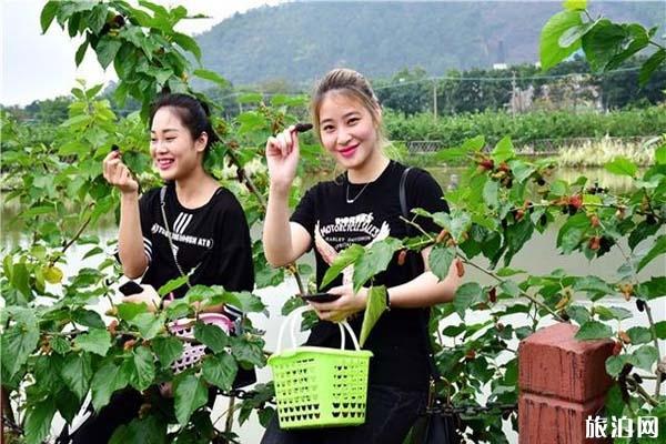 秋季广西旅游必备物品_秋季广西旅游景点推荐_秋季广西旅游美食推荐