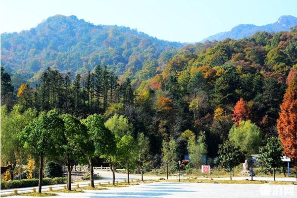 2020随州大洪山对全国医护工作者免费和游玩攻略