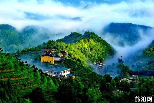 9月去衢州旅游必备物品？你带了什么？