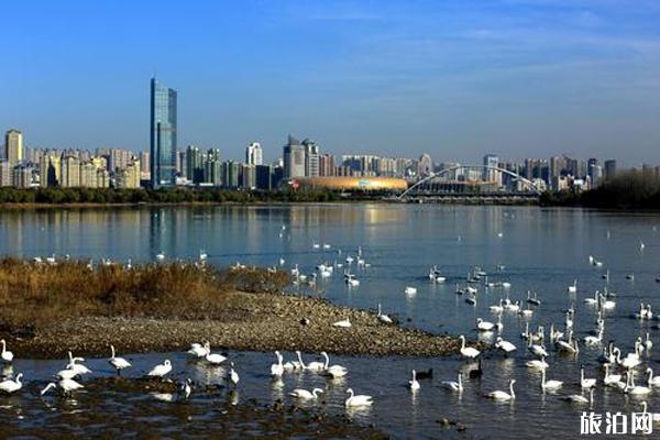 2020三门峡对医护人员免费景区有哪些