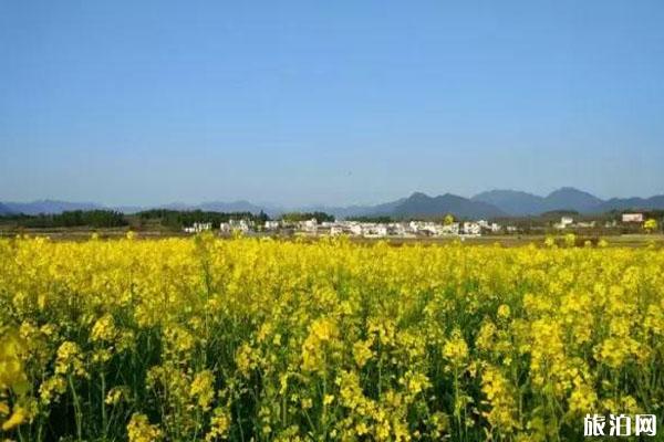 昭通市到东京旅游_昭通市到东京旅游价格_昭通市到东京航班信息
