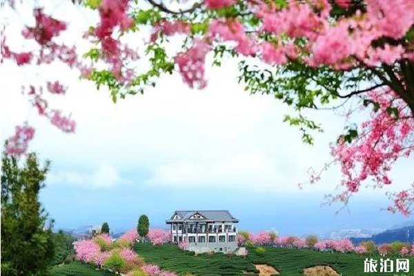 玉溪哪个寺庙可以住单间_玉溪吃素的寺庙_玉溪寺庙注意事项