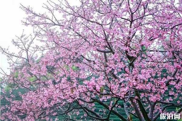 玉溪适合公路旅行的地方_玉溪附近适合公路旅行的景点_玉溪推荐公路旅行