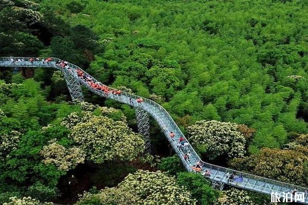 西双版纳野象谷二月天气怎么样_西双版纳穿衣指南_西双版纳注意事项