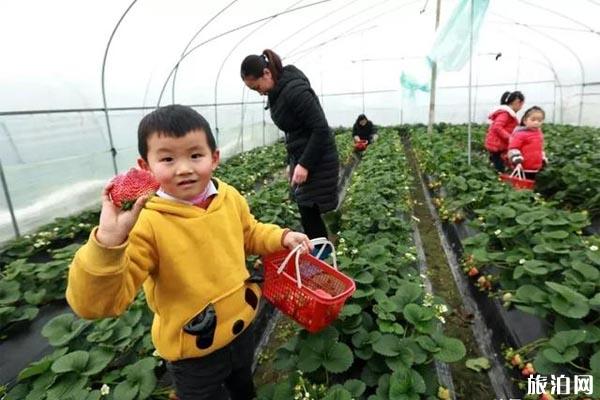 冬季去普洱的月份天气_冬季普洱穿衣指南_冬季游览普洱推荐