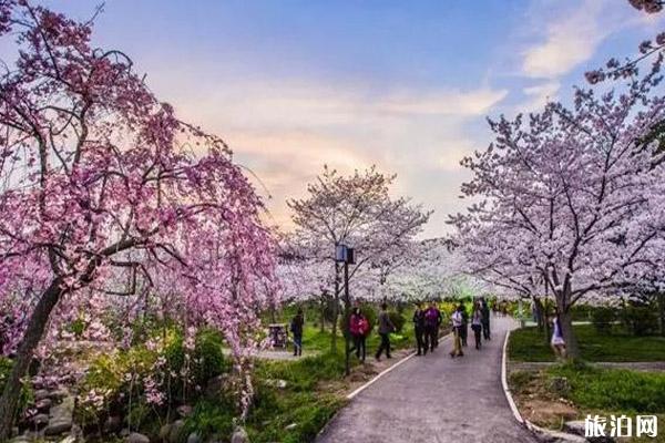 十月去普洱旅游必备物品_十月去普洱必须带什么_十月去普洱需要准备什么？