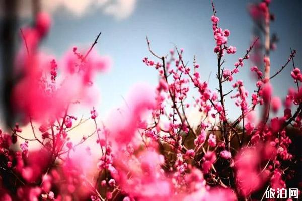 十月去普洱怎么样_十月去普洱怎么样_十月去普洱好玩吗？