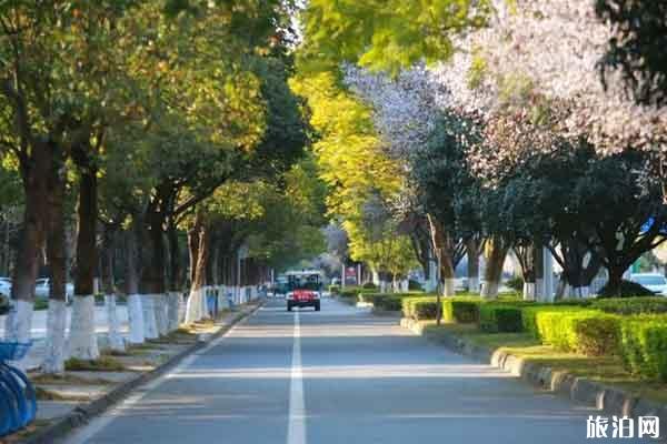 红河哪个寺庙可以单住_红河一个可以吃快餐的寺庙_红河寺庙注意事项