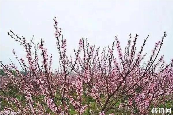 劳动节去楚雄当月天气_劳动节去楚雄穿衣指南_劳动节去楚雄景点推荐