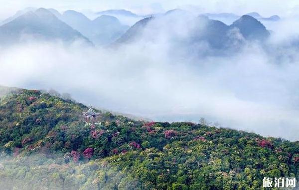 春季去那拉提草原旅游必备物品？你带了什么？