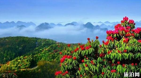 清明节去那拉提草原旅游必备物品？你带了什么？