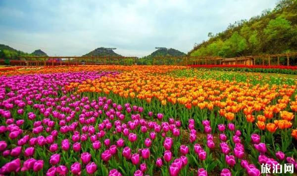 中秋节去伊犁旅游必备物品？你带了什么？