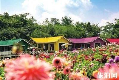 夏季伊犁穿衣指南_夏季伊犁穿什么衣服_夏季伊犁天气温度