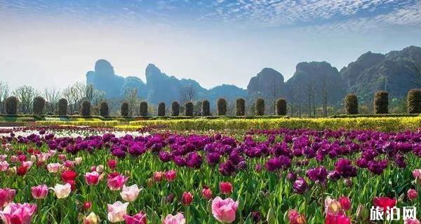 2020年鹰潭龙虎山风景区门票免费政策