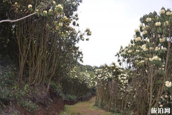 3月去阿勒泰旅游必备物品_ 3月去阿勒泰旅游着装指南_ 3月去阿勒泰旅游须知