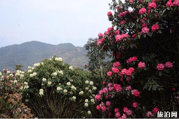 九月阿勒泰旅游必备物品_九月阿勒泰旅游景点推荐_九月阿勒泰旅游穿衣指南