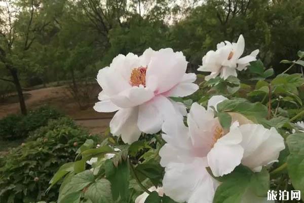 自贡八月穿衣指南_八月天气_八月游自贡推荐