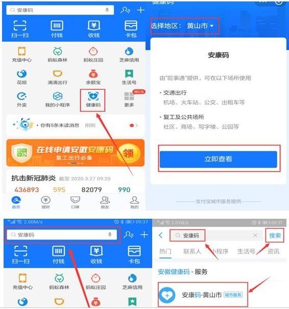 大沽冰山门票团购？票价？门票类型
