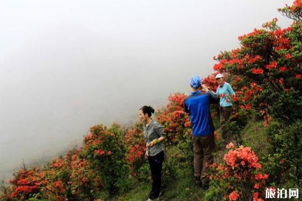 元旦到乐山天气_元旦到乐山穿什么衣服_元旦到乐山景点推荐