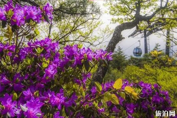 巴中老年人游玩场所_巴中老年人景点_巴中老年人旅游场�