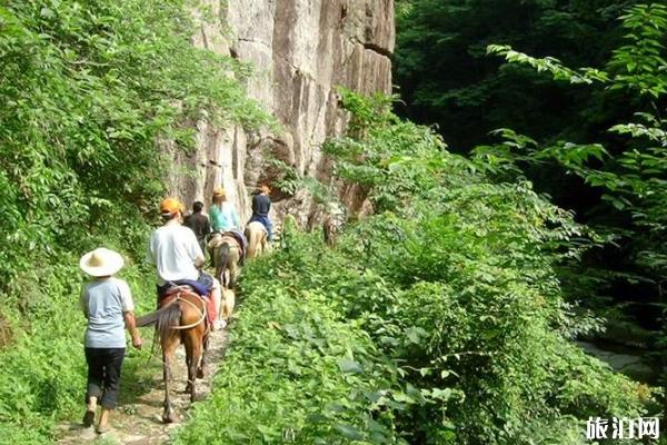 四川研学旅游联盟授牌暨颁奖仪式成功举办助力“旅游教育”融合发展